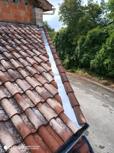 changement chéneau en zinc et rive